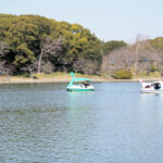 明石公園・剛ノ池のボートが3月19日まで平日休業になります