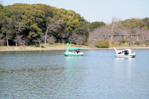 明石公園・剛ノ池のボートが3月19日まで平日休業になります