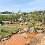 明石公園・武蔵の庭園の乙女池を覆う外来種「オオフサモ」が除去されてスッキリ