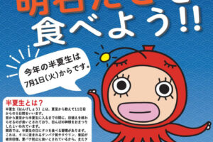 本場明石のタコを食べよう！2025年の半夏生（はんげしょう）は7月1日から