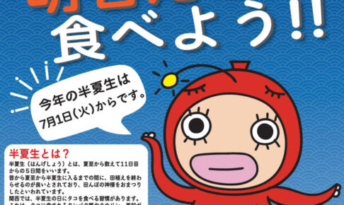 本場明石のタコを食べよう！2025年の半夏生（はんげしょう）は7月1日から