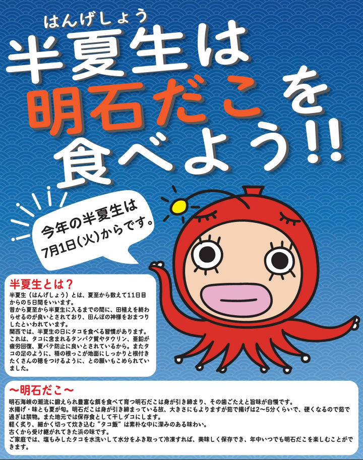本場明石のタコを食べよう！2025年の半夏生（はんげしょう）は7月1日から
