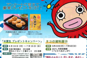 本場明石のタコを食べよう!2026年の半夏生(はんげしょう)は7月2日から