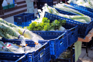 新鮮朝採れ野菜・果物が買える「パークマルシェ」が明石公園で開催！