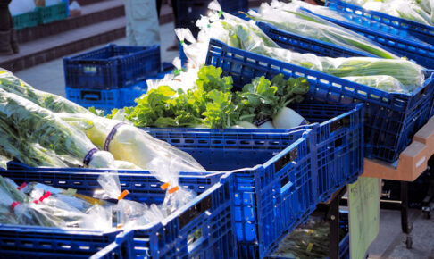 新鮮朝採れ野菜・果物が買える「パークマルシェ」が明石公園で開催！