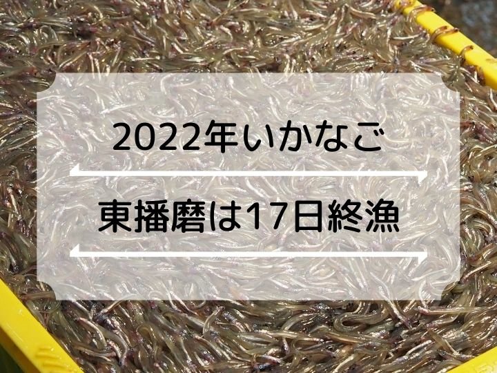 【2022年いかなごシンコ漁の終漁日】東播磨（明石）・淡路島西岸は3月17日、姫路以西は19日