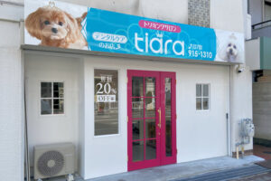 【開店】明石市樽屋町にトリミングサロンtiaraがオープン！垂水のシアンドゥローズ姉妹店