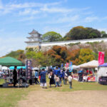 メダカの祭典「兵庫メダカサーキット」が4月16日に明石公園で開催されます
