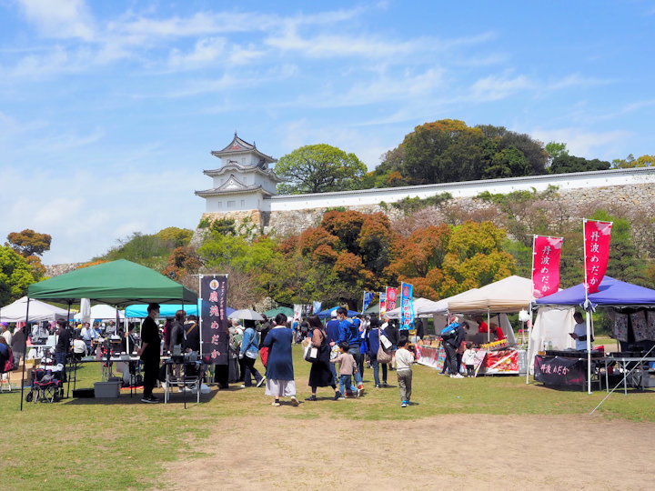 メダカの祭典「兵庫メダカサーキット」が4月16日に明石公園で開催されます