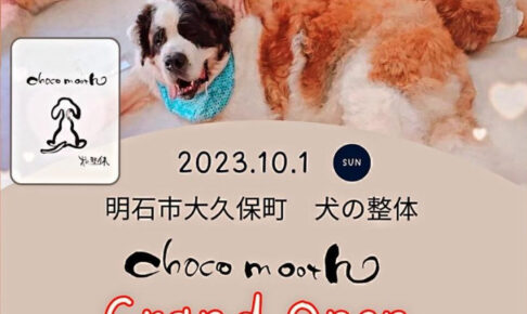 【開店】犬の整体「choco mooth」実店舗がオープン（本わらびもち専門店蕨小町2F）