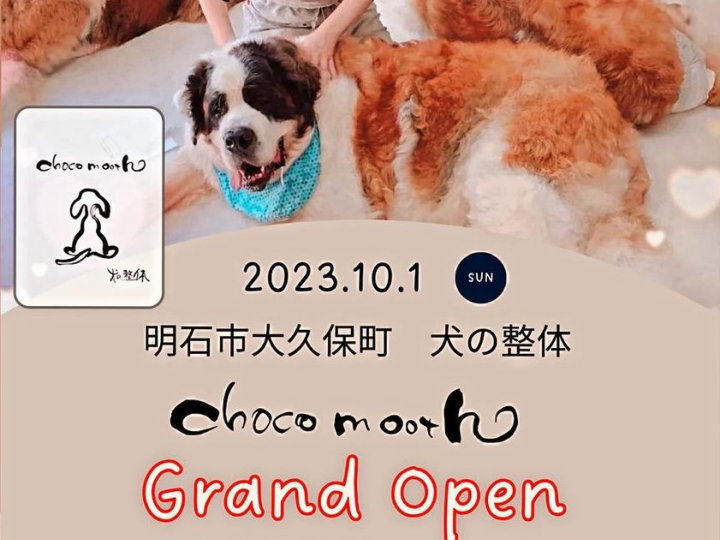 【開店】犬の整体「choco mooth」実店舗がオープン（本わらびもち専門店蕨小町2F）