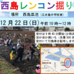 明石市大久保町の西島皿池で「第16回 西島レンコン掘り大会」開催！先着で焼芋プレゼント