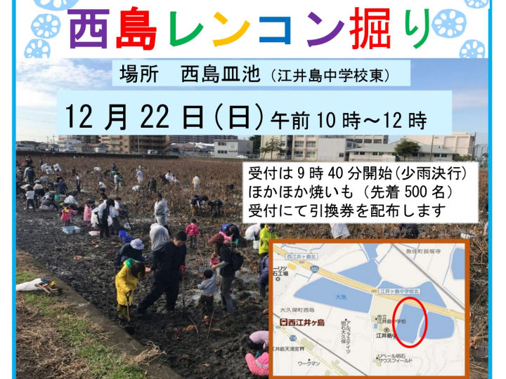 明石市大久保町の西島皿池で「第16回 西島レンコン掘り大会」開催！先着で焼芋プレゼント