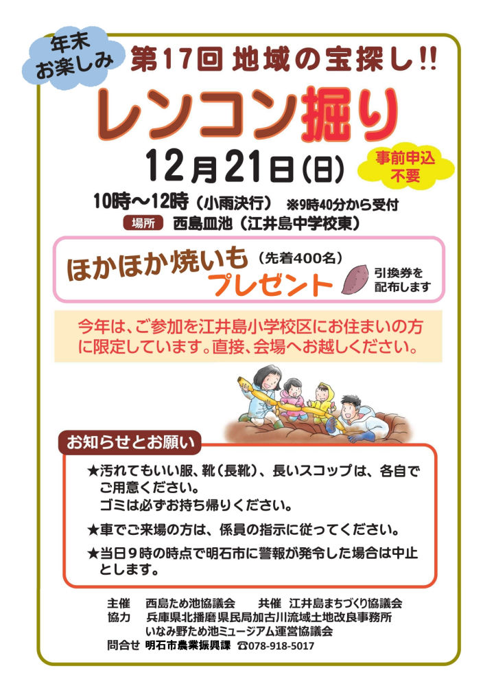 今年は江井島小学校区内関係者限定！明石市大久保町の西島皿池で「第17回 西島レンコン掘り大会」開催