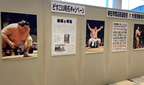 あかし市民広場で大相撲「どすこい明石キャンペーン」の展示が行われています