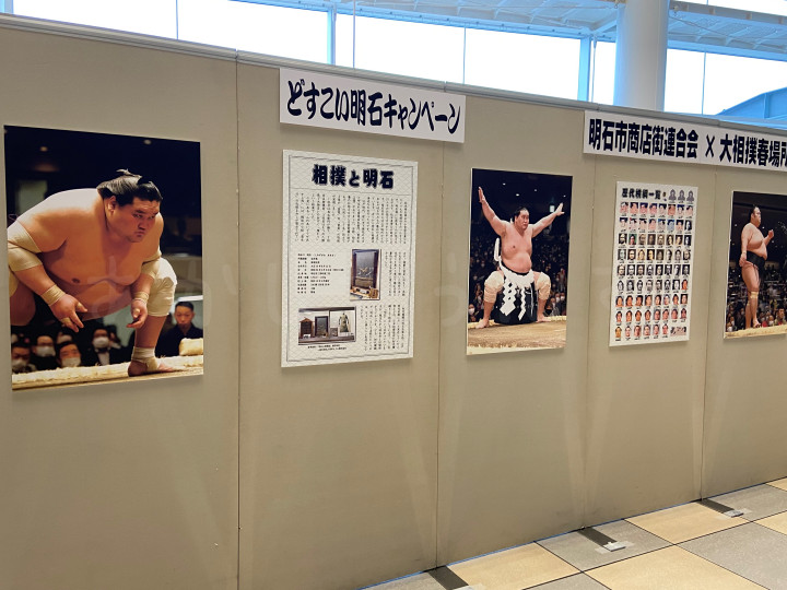 あかし市民広場で大相撲「どすこい明石キャンペーン」の展示が行われています