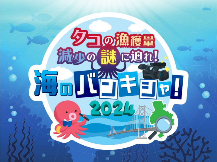 漁獲量が減少する明石の海の謎に迫る1泊2日のイベント「海のバンキシャ2024！」開催！7/11〆切