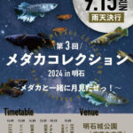 明石公園でめだかのイベント「第3回 メダカコレクション2024」開催 9/15