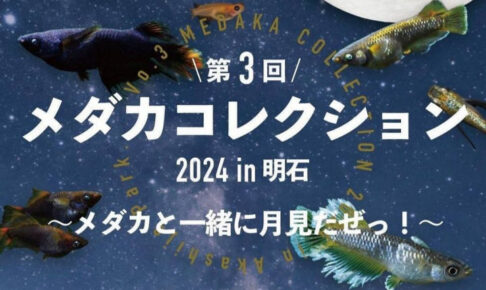 明石公園でめだかのイベント「第3回 メダカコレクション2024」開催 9/15