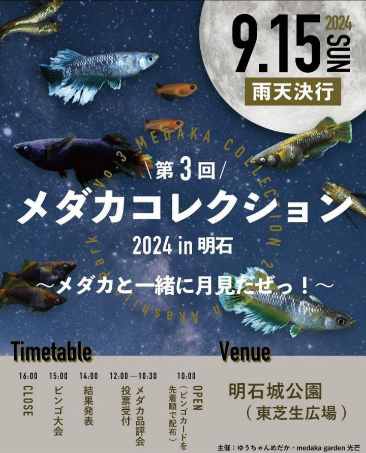 明石公園でめだかのイベント「第3回 メダカコレクション2024」開催 9/15