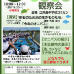 今年は少ないみたい！オニバス観察会が江井島中学校コミセン（西島新池）で8/25開催