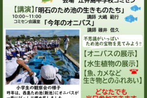 今年は少ないみたい！オニバス観察会が江井島中学校コミセン（西島新池）で8/25開催