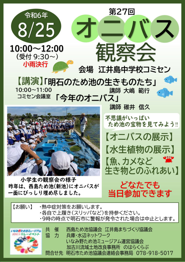 今年は少ないみたい！オニバス観察会が江井島中学校コミセン（西島新池）で8/25開催