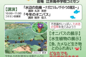 オニバス観察会が江井島中学校コミセン（西島新池）で8/24開催