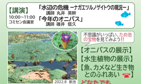 オニバス観察会が江井島中学校コミセン（西島新池）で8/24開催
