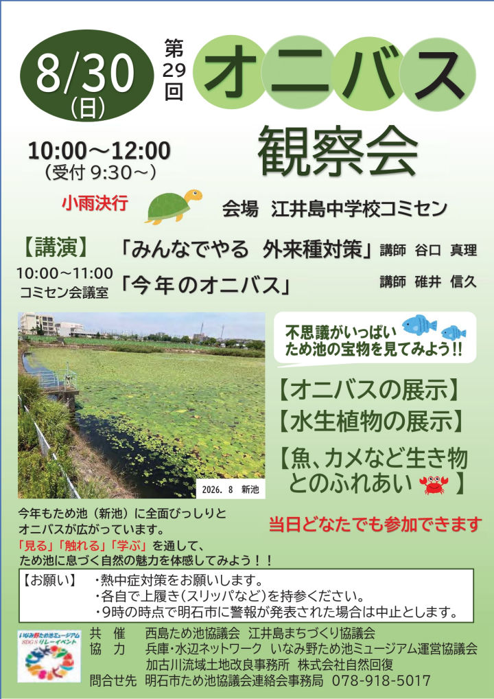 第29回 オニバス観察会