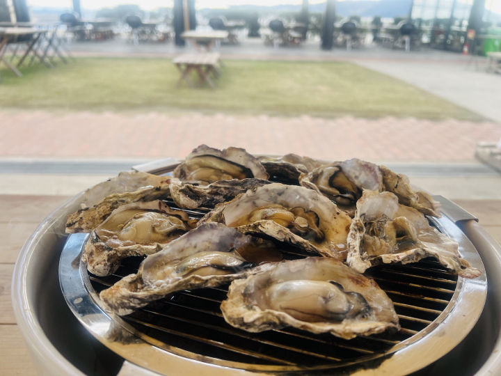 相生産カキを堪能！大蔵海岸BBQ「ZAZAZA」で牡蠣小屋が冬限定オープン