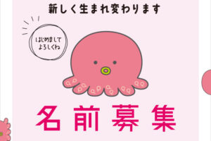 ピオレ明石の新キャラクターの名付け親になりませんか?名前募集中~2/1締切