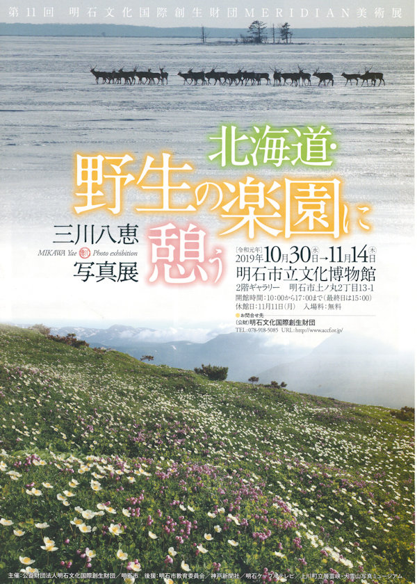三川八恵・写真展「北海道・野生の楽園に憩う」