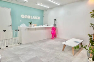 【開店】ペットホテル＆トリミングサロン「ONE LUKE（ワンルーク）」西明石にオープン