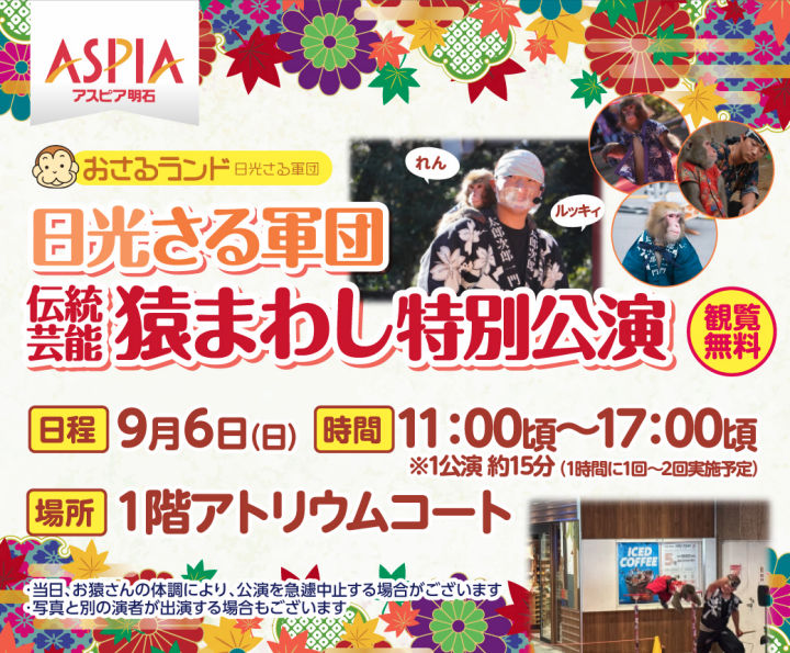 アスピア明石に日光さる軍団がやってくる！9月6日に猿まわしの特別公演