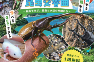 アスピア明石に昆虫大集合！カブトムシやクワガタとふれあえる「昆虫交響曲」