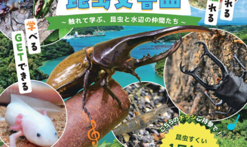 アスピア明石に昆虫大集合！カブトムシやクワガタとふれあえる「昆虫交響曲」
