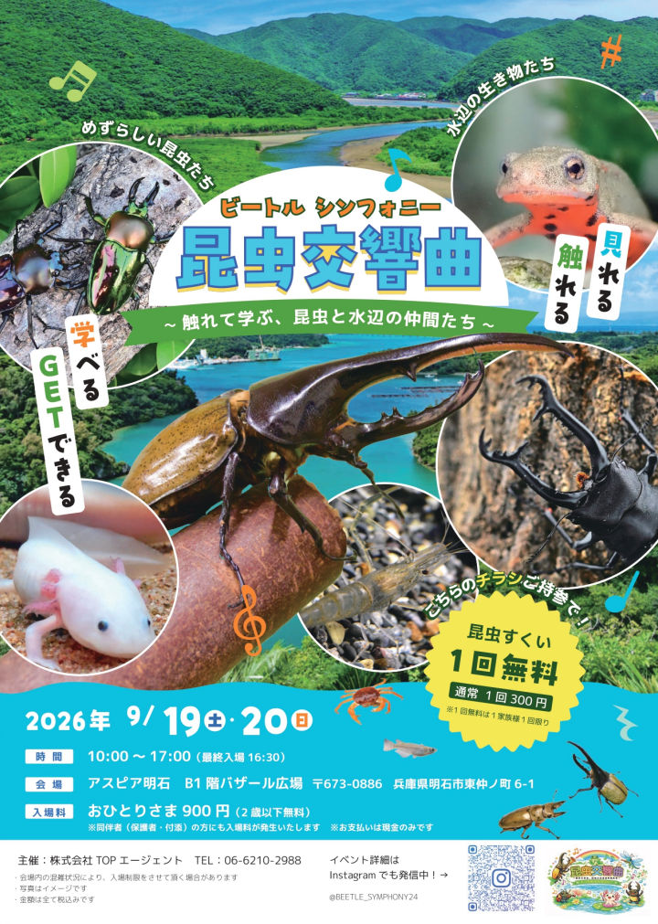 アスピア明石に昆虫大集合！カブトムシやクワガタとふれあえる「昆虫交響曲」