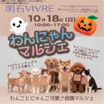 明石ビブレで「わんにゃんマルシェ」10月18日開催！かわいい犬猫グッズが大集合