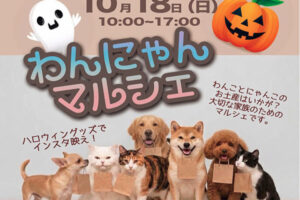明石ビブレで「わんにゃんマルシェ」10月18日開催！かわいい犬猫グッズが大集合