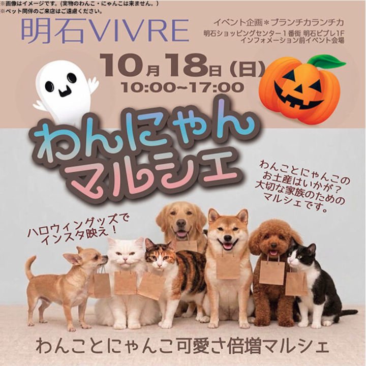 明石ビブレで「わんにゃんマルシェ」10月18日開催！かわいい犬猫グッズが大集合