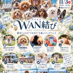 愛犬と楽しむイベント「WAN結び（わんむす）」11/3に明石T3テラスで初開催