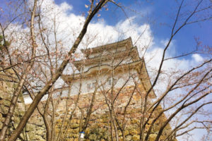 明石公園のひぐらし池周辺の樹林が伐採・剪定されて、櫓の見晴らしも 