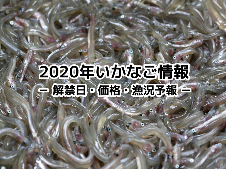 2020年いかなご解禁情報・価格・イカナゴ漁況予報