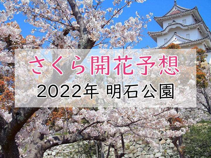 【2022年】明石公園（明石市）の桜開花予想は？満開の時期はいつ頃？（随時更新）