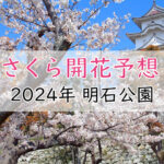 【2024年】明石公園（明石市）の桜開花予想は？満開の時期はいつ頃？