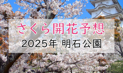 【2025年】明石公園（明石市）の桜開花予想は？満開の時期はいつ頃？