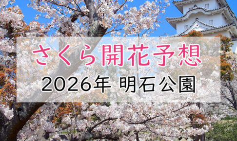 【2026年】明石公園(明石市)の桜開花予想は?満開の時期はいつ頃?