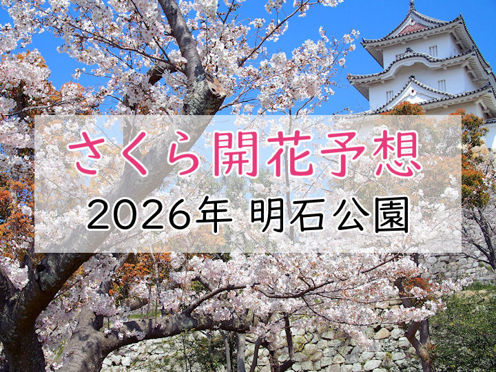【2026年】明石公園（明石市）の桜開花予想は？満開の時期はいつ頃？