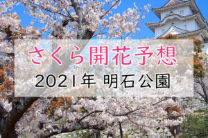2021年明石公園の桜開花予想